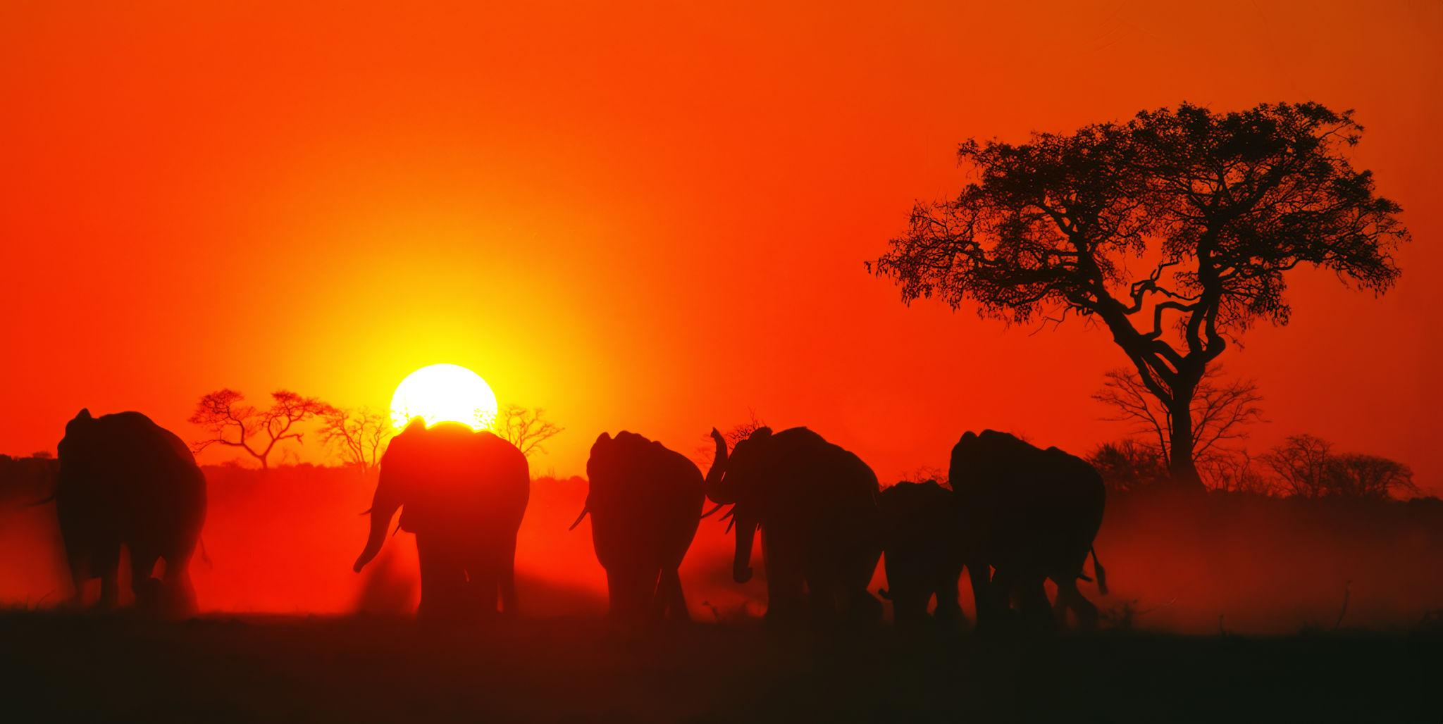 Book your Kruger Safari