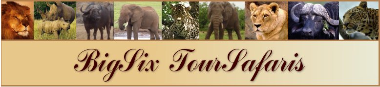 BigSix TourSafaris