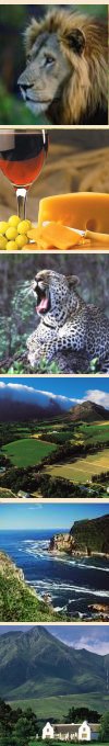 Kruger National Park - Cape Town & Garden Route
