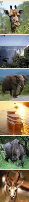 Kruger Park and Victoria Falls